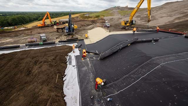 Dakvandrenthe (4C9A7623 Enhanced NR)