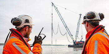 Csm 190205 18 95Da0b4886