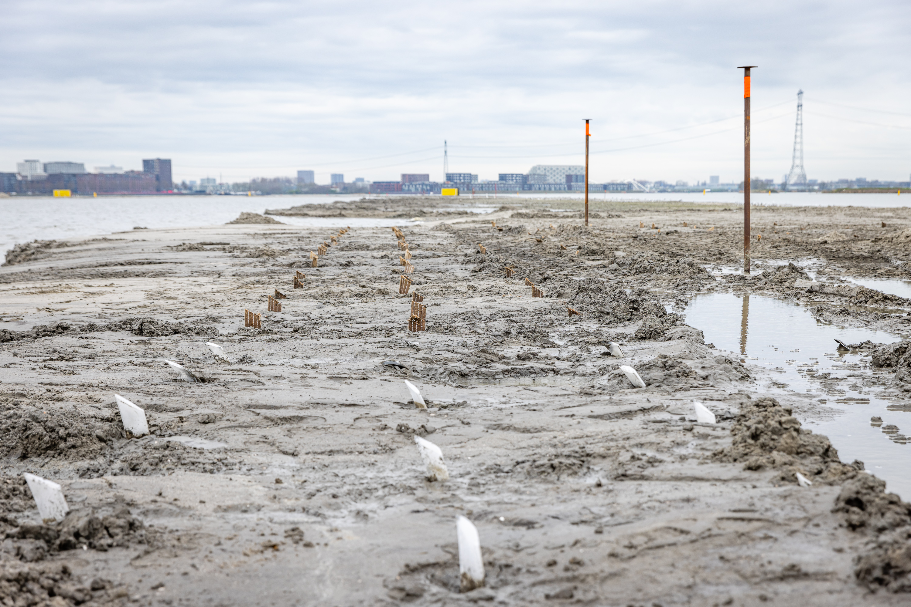 Ijburg (4C9A8003)